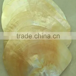 Polished Mop Whitelip Shell thumbnail-2
