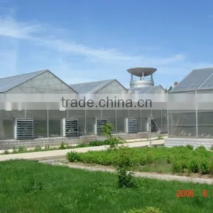 Polycarbonate Sheet Greenhouse thumbnail-1