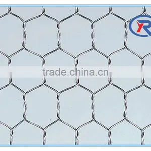 China Cheap Hexagonal Wire Netting/ Fence Netten Mesh/ Animal Catching Netsing thumbnail-5