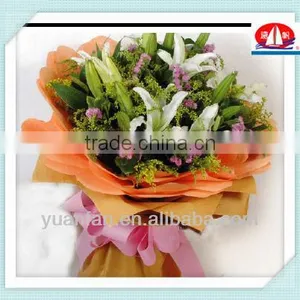 Non Woven Fabric for Flower Wrapping thumbnail-1