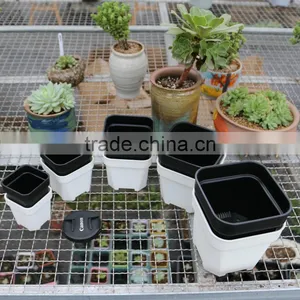 Plastic Colorful More Thickness Square Flower Pot thumbnail-2