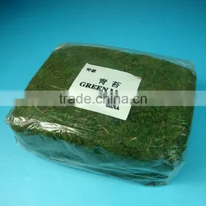 Artificial Moss Real Moss Dry Green Moss Decoration thumbnail-1