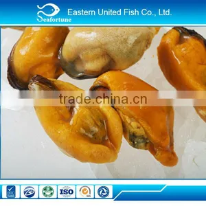 IQF Iqf Cooked Mussel Meat thumbnail-1