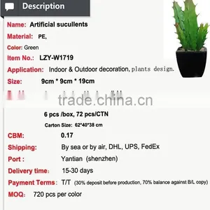 Eco-friendly High Quality Potted Succulent Plants Bonsai Cactus Mini Succulent thumbnail-3