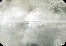 Bosilun Fibre, Acrylic Fiber, 1.5Dx38mm, 3Dx64mm thumbnail-5