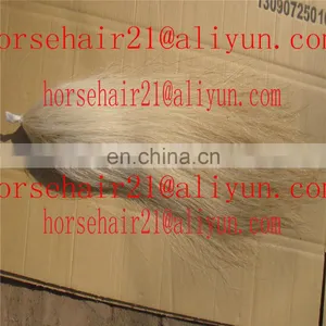 Ebay Horse Tail Hairs / Horsetail Hairs / Horse Hairs thumbnail-2
