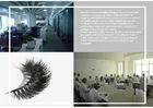 Bestin (Qingdao) Trading Co.,Ltd company overview - view 1 thumbnail