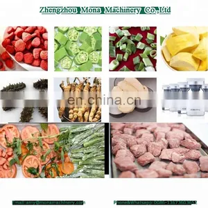 Fruit and Vegetable Vacuum Freeze Drying Machine / Fruit Freeze Dryer thumbnail-5