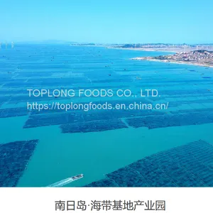 60g Kelp Knot (Fresh Flavor) thumbnail-3