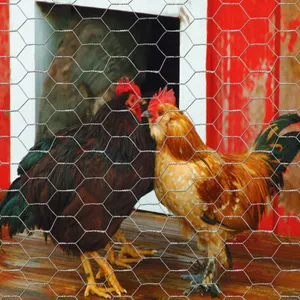 150-Feet X 4-Feet 20 Black Galvanized Steel Chicken Wire Rolled Fencing 1-in - Mesh Size Factory Direct thumbnail-3