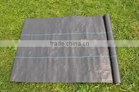 pp Woven Ground Cover Supplier thumbnail-1