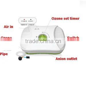 LY 9F Ozone and Anion Generator Machine for Family Use thumbnail-2