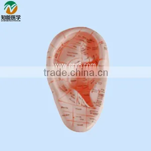Ear Massage Model 17cm BIX-Y1025 thumbnail-1