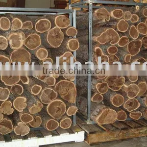 Sandalwood (Buddha Wood) thumbnail-1