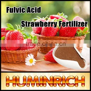 FAQ 31--What Impact Does Huminrich Fulvic Acid Apply To Strawberries? thumbnail-1