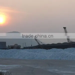 Lump of White Limestone thumbnail-3