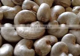 Cashew thumbnail-1