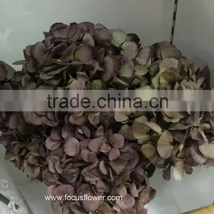 High Quality Fresh Preserved Flower Blue White Hydrangea Bouquet For Christmas thumbnail-4