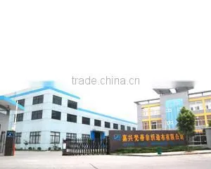 Jiaxing Fandi Nonwovens Co., Ltd. company overview - view 2 thumbnail