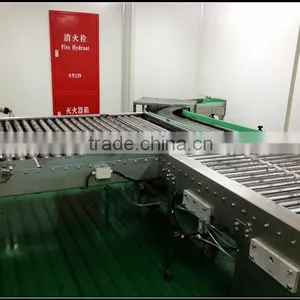 Non-standard Roller Deck and Bending Conveyor thumbnail-4