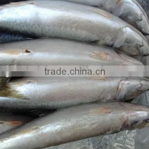 Grade A WR Frozen Mackerel 300-400g. thumbnail-3