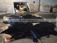 DONKEY HIDES thumbnail-1