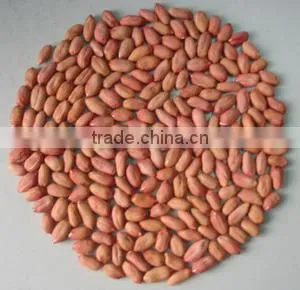 Chinese Peanut Kernel With Whole Price From Factory thumbnail-3