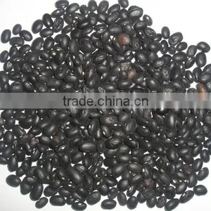 Black Bean thumbnail-1