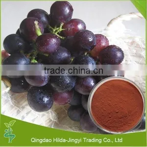 Supply 100% Natural Grape Seed Extract From China thumbnail-1