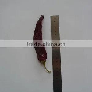 Chinese Manufacturer Supplier A Grade ISO, HACCP, HALAL Certification 80-240 Asta Hot Selling Red Sweet Paprika Chilli thumbnail-4
