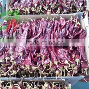 Mexico Market Water Washed Paprika Pod thumbnail-1