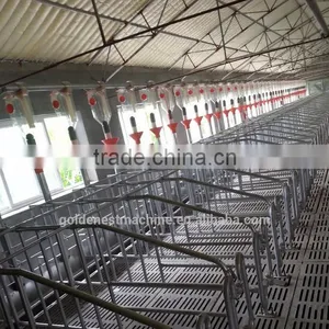 ^Famous Goldenest Piggery Gestation Stall thumbnail-1