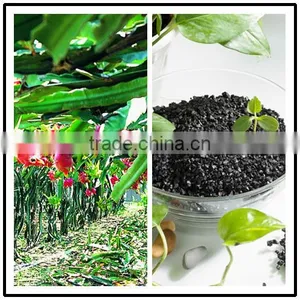 Potassium Humate Granular/Green Agriculture/Humic Acid 60% thumbnail-1