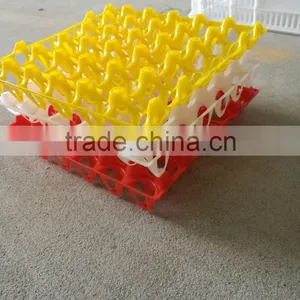 PE Chicken Egg Tray for 30 Eggs thumbnail-1