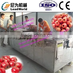 Hot Sale and High Efficiency Peach Pitting Machine thumbnail-2