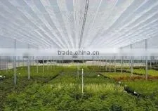 Multi-span Low Cost Agricultural Greenhouse thumbnail-1