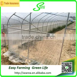 Agricultural Single Span Greenhouses thumbnail-2