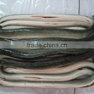 Frozen Eel thumbnail-1