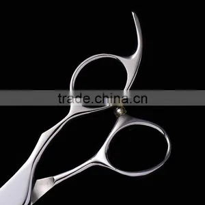 High Quality Stainless Steel and Professional Pet Groming Scissors thumbnail-2