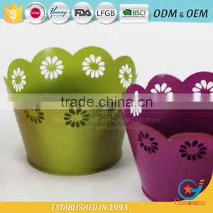 Garden Iron and Zinc Unique Powder Coated Outdoor Plant Coloured Flower Pots Colourful Pots for Plants thumbnail-1