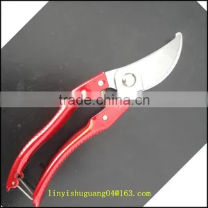 Strong and Flexible Strong Shear thumbnail-1