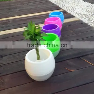 Mini Decorated Fancy Cute Self Watering Flower Pot thumbnail-2