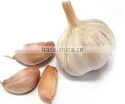 Garlic Oil thumbnail-2