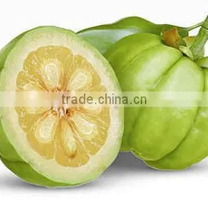 Best Quality GARCINIA CAMBOGIA EXTRACT thumbnail-1