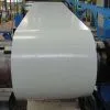 RAL9010 Prepainted Galvanised Steel Coil-RAL9010 Prepainted Galvanised Steel Coil Group-RAL9010 Prepainted Galvanised Steel Coil Mill thumbnail-1