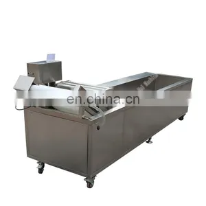Commercial Stainless Steel Ozone Bubble Cabbage Vegetable Washing Machine thumbnail-6