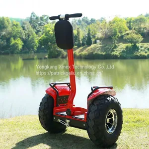 19 Inch Self-balancing Scooter Hoverboard With Handle Bar off Road thumbnail-1