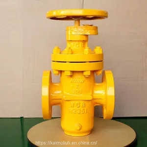 Class150 - 3000 API ANSI Standard Gas Flat Gate Valve for Natural Fuel Gas thumbnail-1