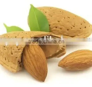 Pure and Organic Carrier Sweet Almond Oil thumbnail-1