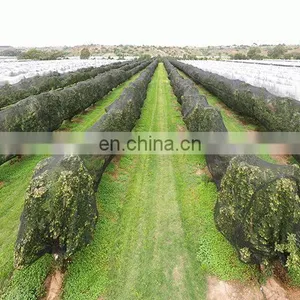 Custom HDPE Plastic Mesh Agriculture Apple Vegetable Anti Bee Hail Netting thumbnail-5